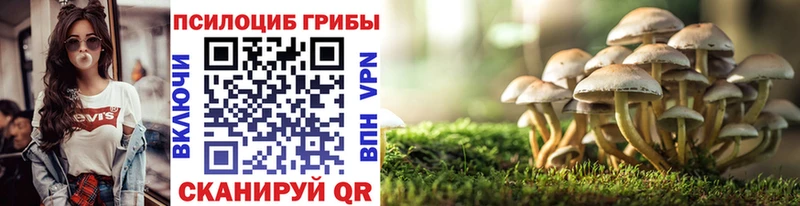 Галлюциногенные грибы мухоморы  купить  цена  Агидель 